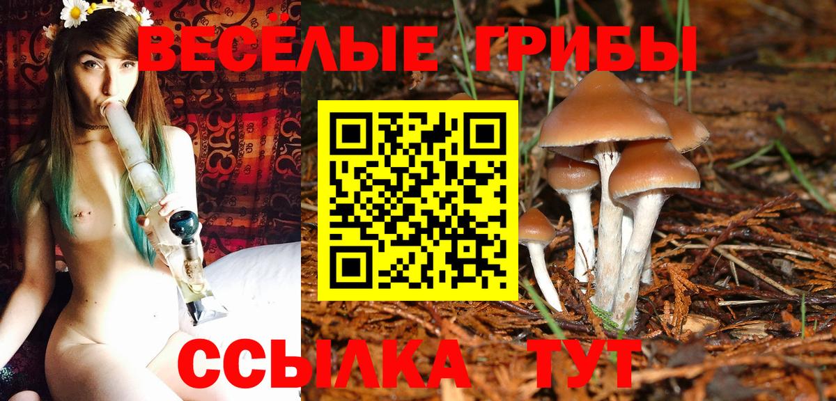 Россия  закладки  Вход с VPN  Галлюциногенные грибы GOLDEN TEACHER 