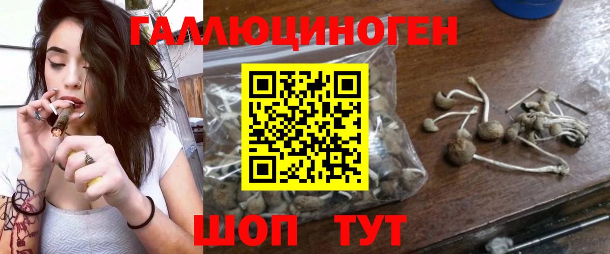 Галлюциногенные грибы Magic Shrooms Россия