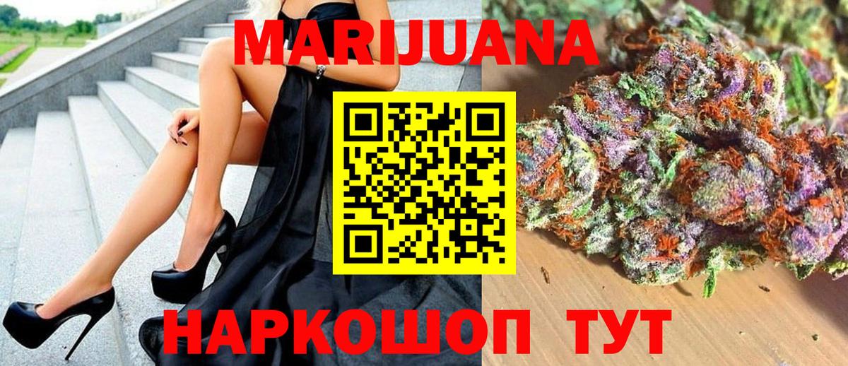 Бошки Шишки семена  Каннабис сатива  Россия  Канабис VHQ  Вход с VPN 